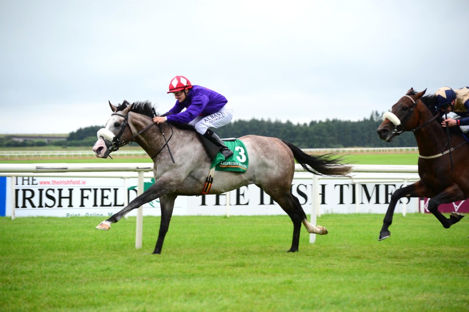  Success Days stretches clear of Fascinating Rock in the final furlong