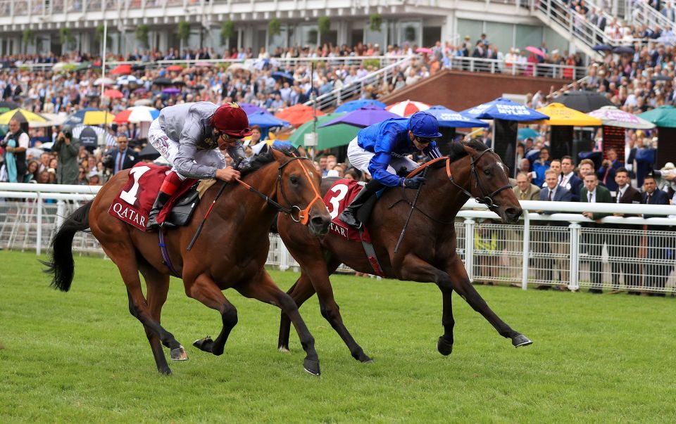  Blue Point (right) and Mehmas (left) were separated by the narrowest of margins at Goodwood