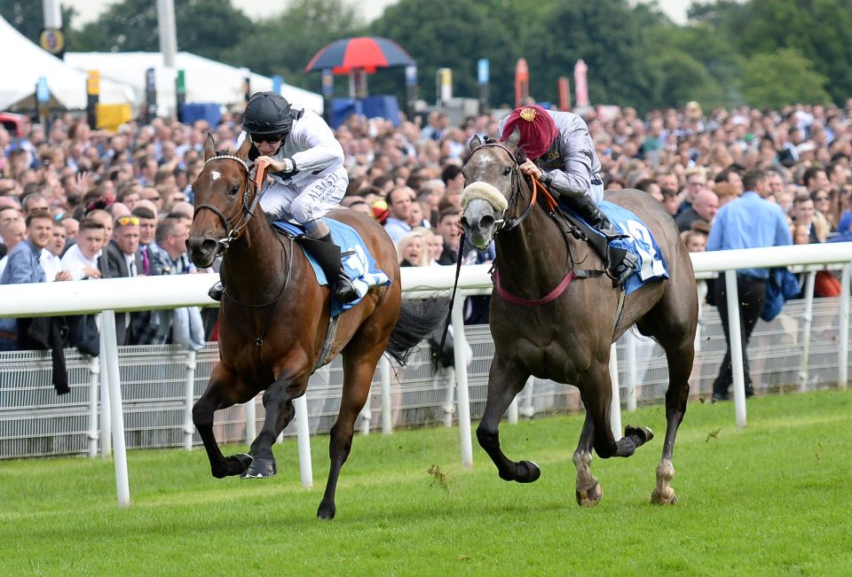  Easton Angel (right) looks ready to fill the gap left when Mecca's Angel retires