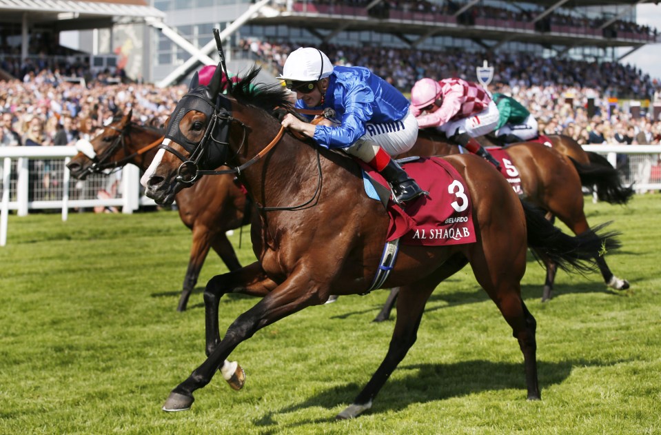 Belardo was an impressive winner of the Lockinge earlier in the season 