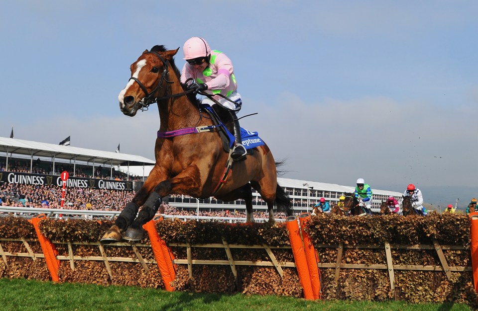  Faugheen will miss the Festival for the second consecutive season