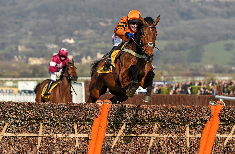  Thistlecrack was the star of last season for Tizzard