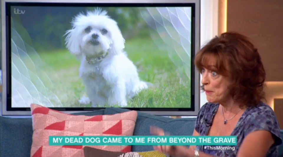  Viewers were not impressed with the ghostly dog story