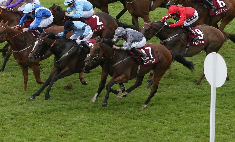  Growl (grey cap) was a close fourth to Dancing Star in the Stewards Cup