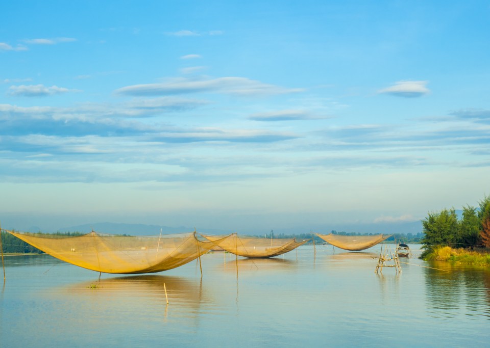 Catch of the day in Mekong Delta 