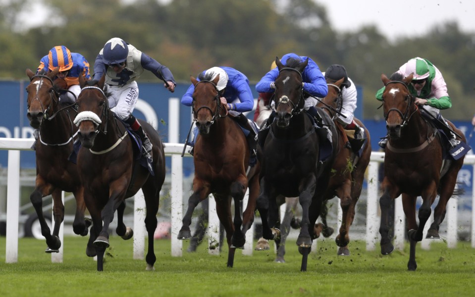  Racing History (white cap) was a close fourth behind Fascinating Rock in last year's Champion Stakes