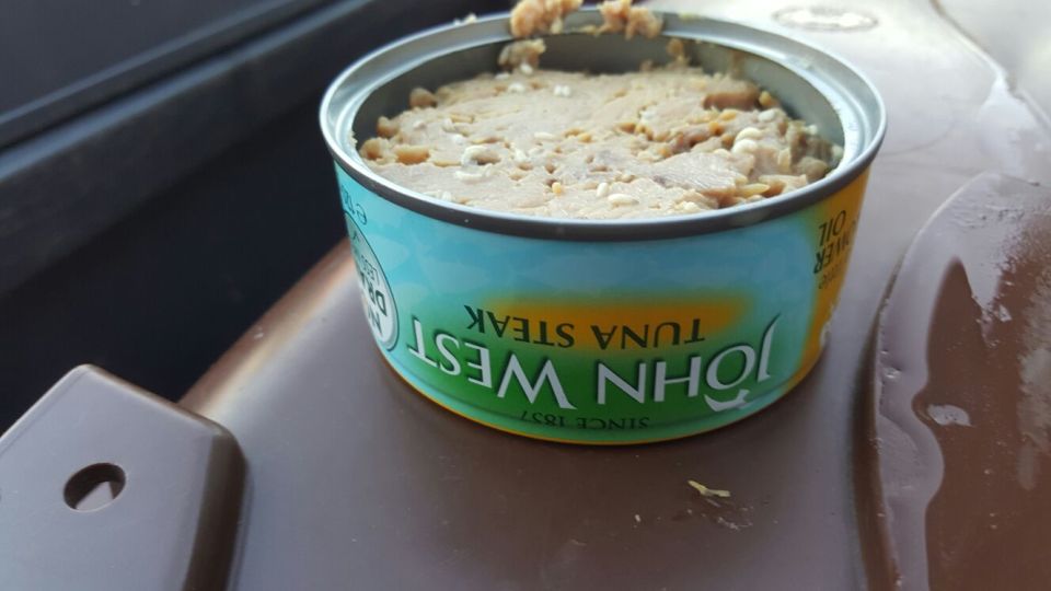  Live maggots were found 'wriggling all over' the can of tuna - which came in a pack of three