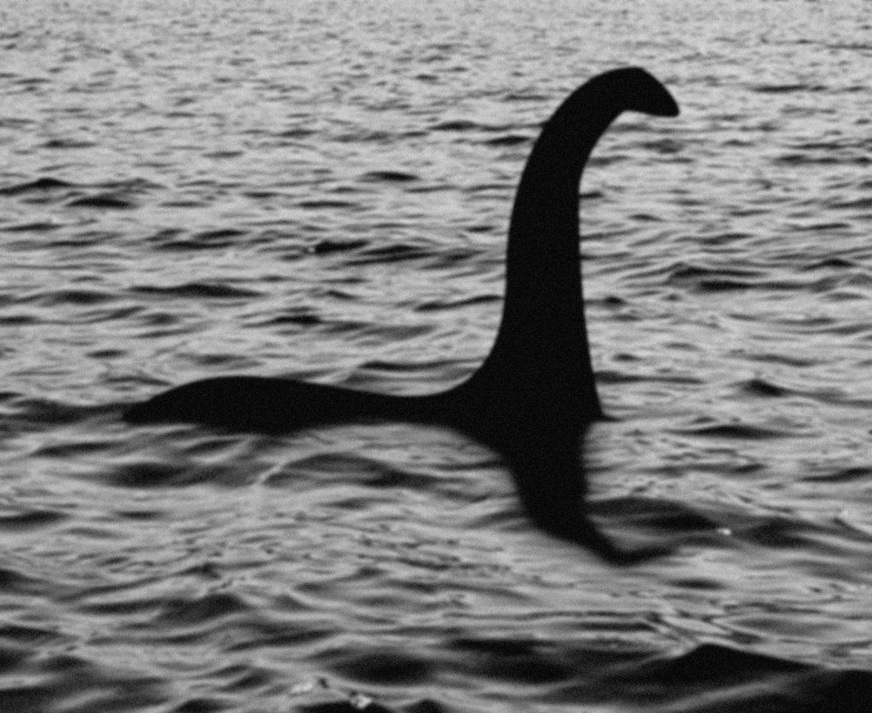  Nessie? The ichtyosaur remains are not those of the famously elusive Loch Ness Monster