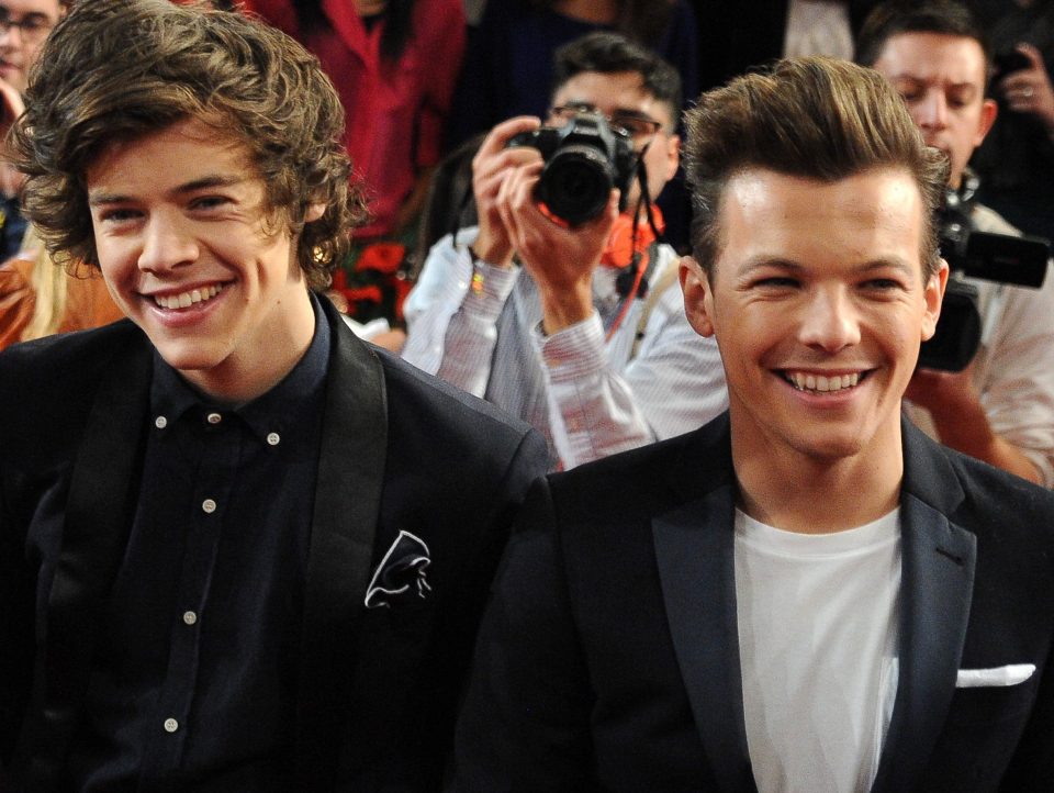  A fan led theory online claims that Harry and Louis have been in a secret relationship for years