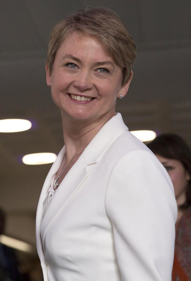  Danger ... Yvette Cooper is one of many Labour MPs whose place is in jeopardy