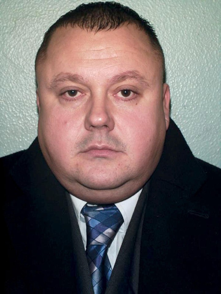  Levi Bellfield was convicted of the murder of Milly Dowler after he was found guilty of murdering two other women