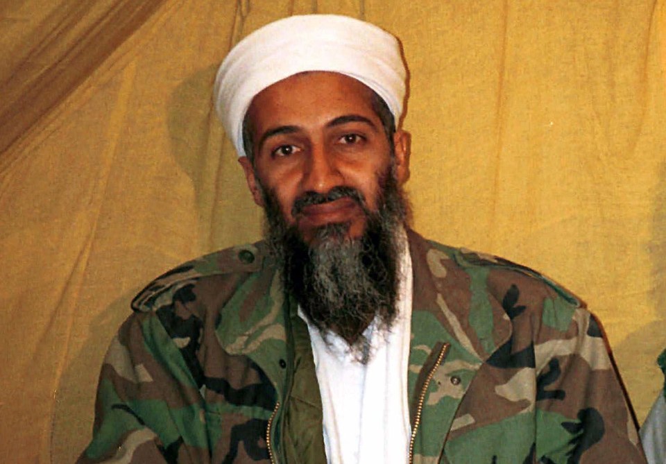  Osama bin Laden's organisation is a shadow of its former self after having been subjected to hundreds of drone strikes