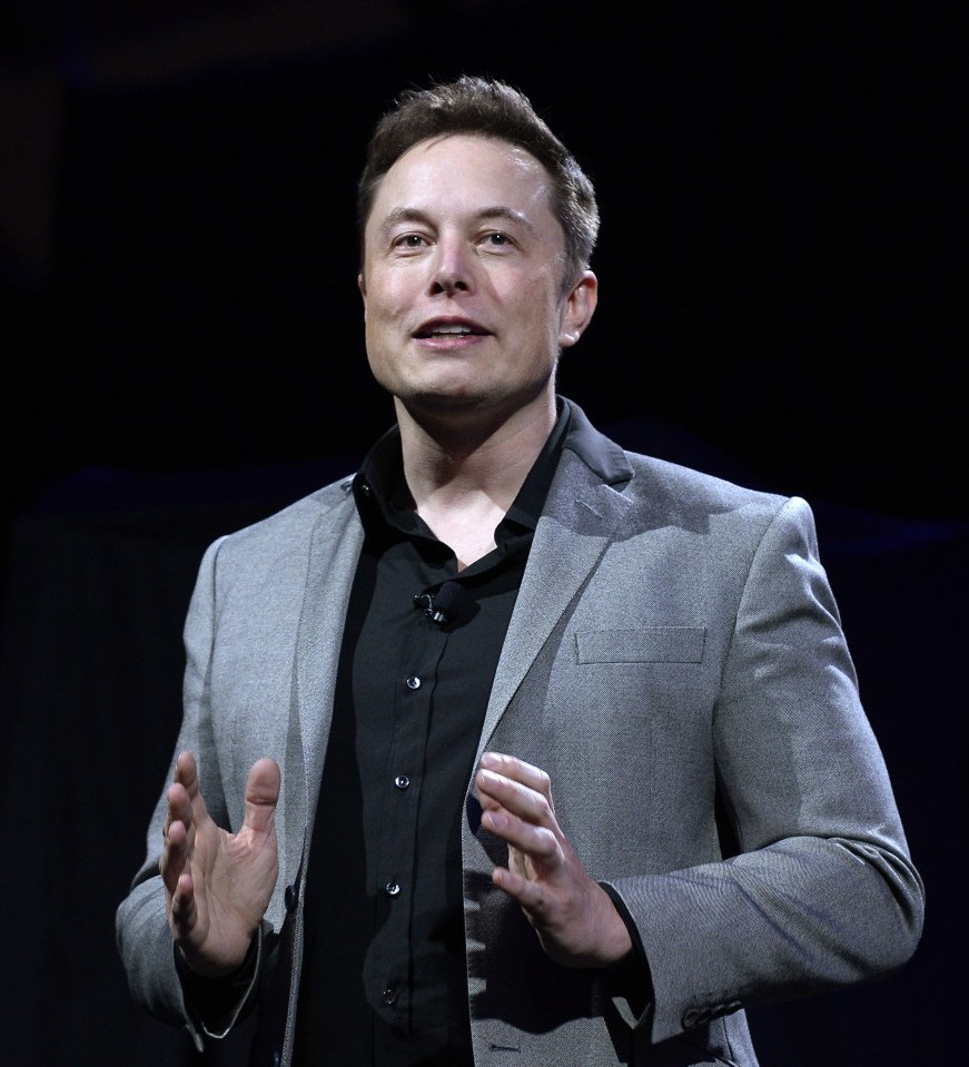  Space X founder Elon Musk has promised to put humans on Mars within 20 years