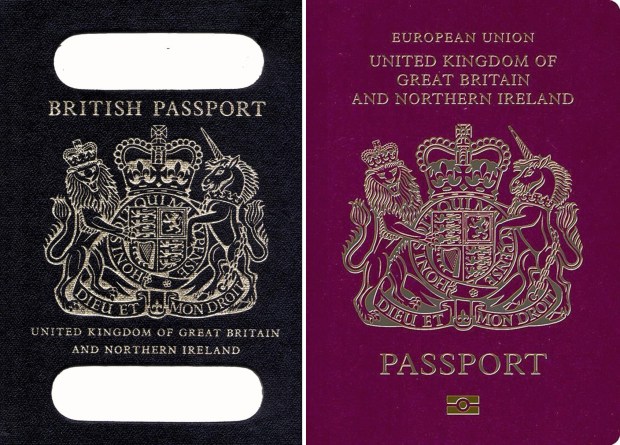 His call echoes The Sun's campaign to change UK passports back to their original blue