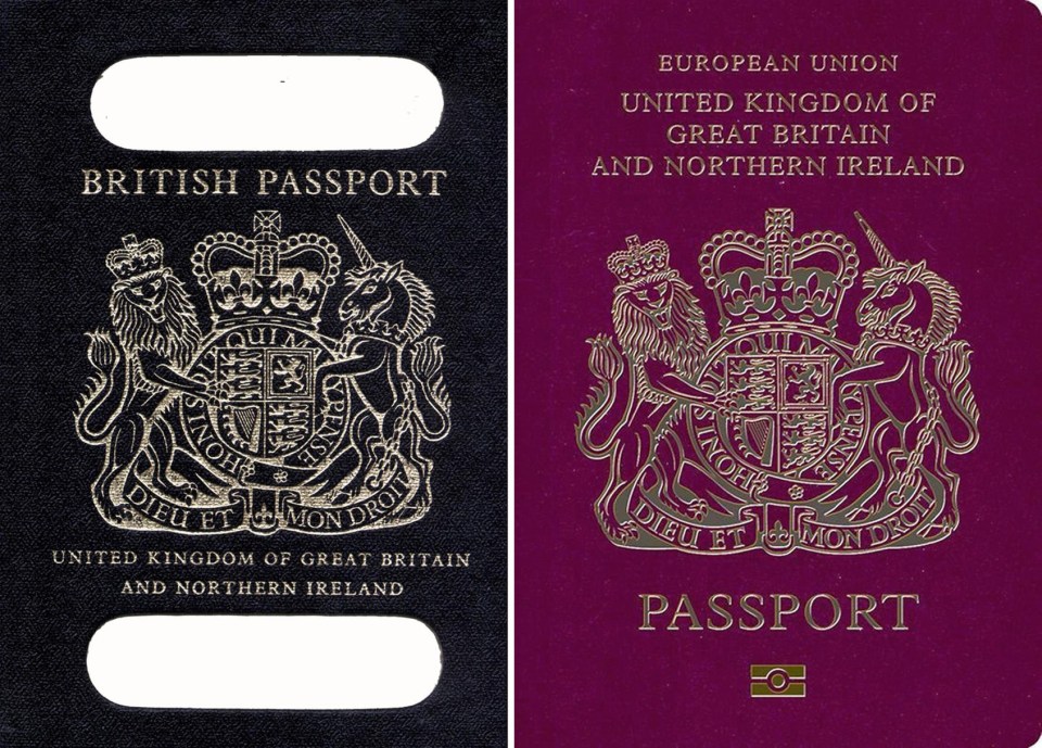  What a result . . . our 'iconic' blue passport could be back as Home Office discuss travel options