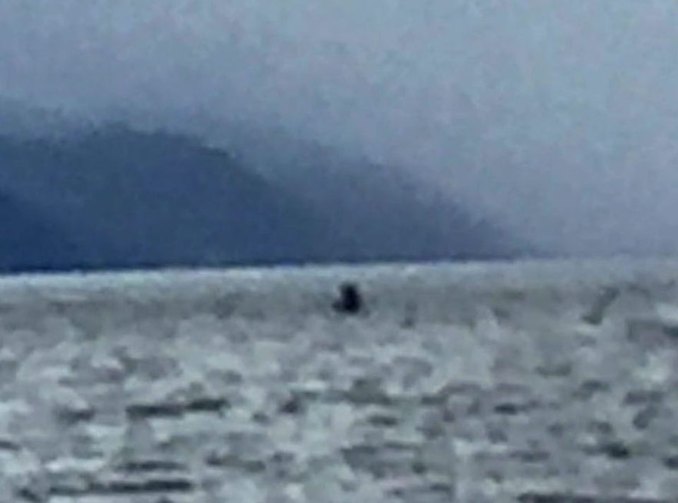  One of the photos claiming to be of the Loch Ness Monster was taken by Jolene Lin, a student from London. The student sescribed it as looking like a large serpent and is convinced that it was the Loch Ness Monster