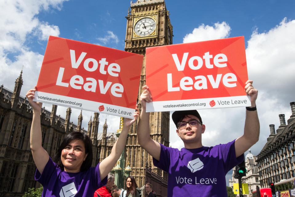 Supporters of the 'Vote leave' campaign on Westminster Bridge to leave the EU on June 23rd