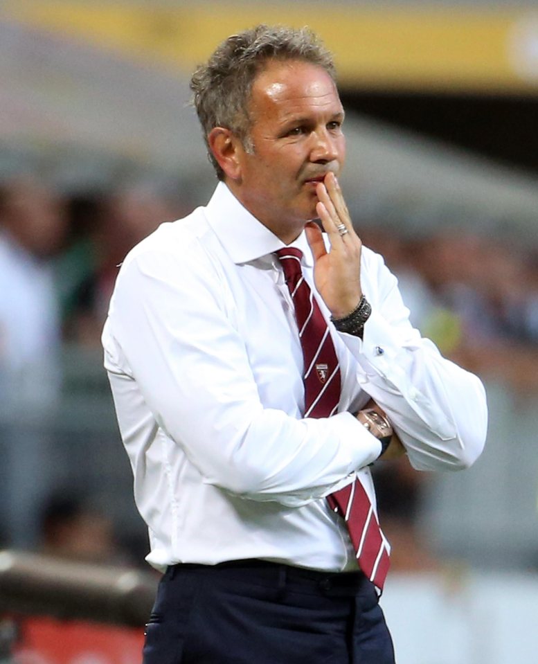  New boss Sinisa Mihajlovic has been impressed with his new signing