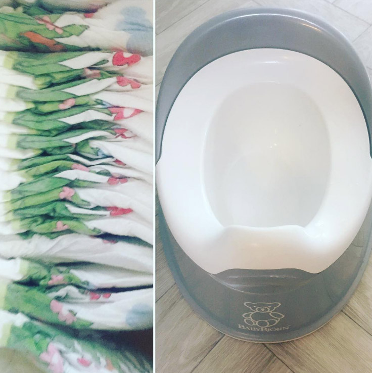  Holly uploaded the potty shot to her Instagram page