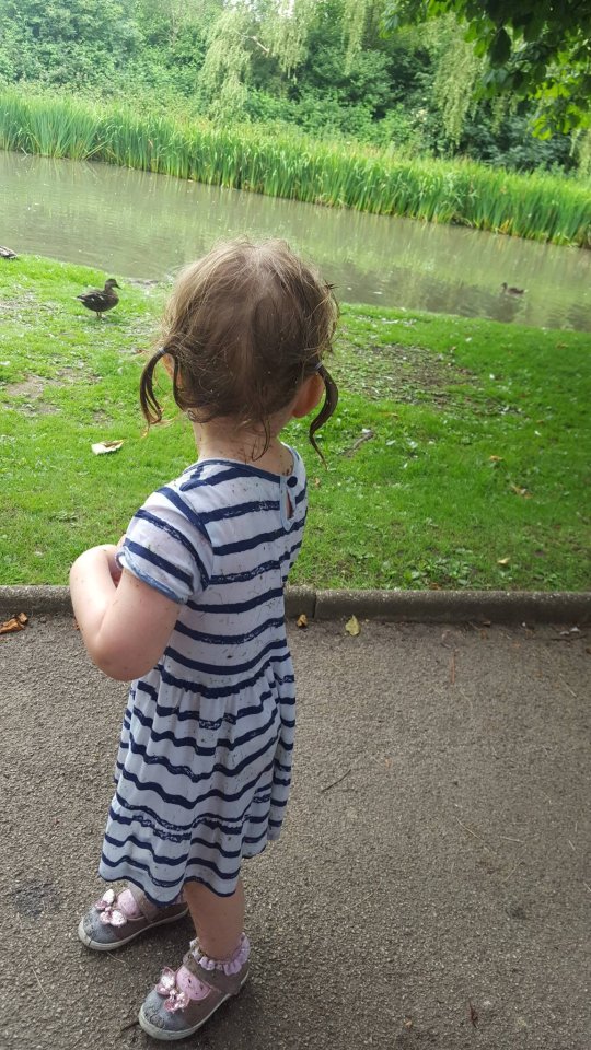  Poppy was in the park feeding the ducks before her brush with death