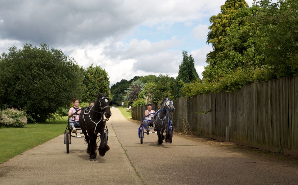  With some interested in horses