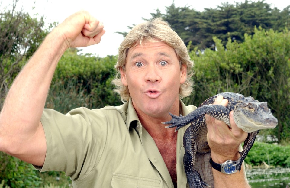  Crocodile hunter Steve Irwin died after a stingray attack in September 2006