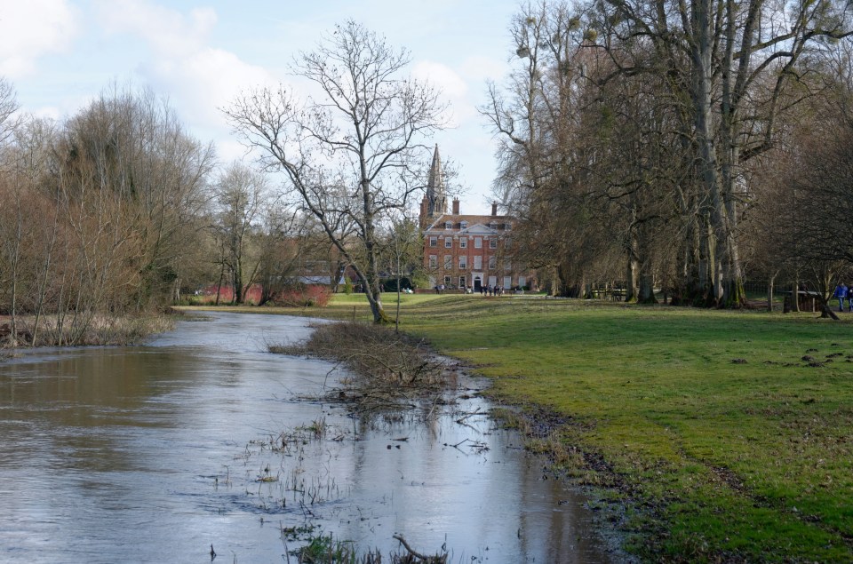  Welford Park, where the show is shot, has become a hotspot for Bake Off loving doggers