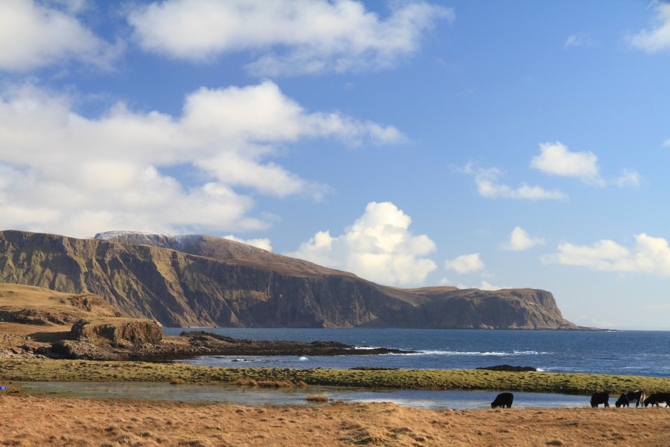  The two men managed to reach the shores of Sanday before being airlifted to hospital