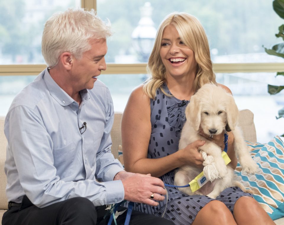  Holly and Phillip gushed over the gorgeous puppy