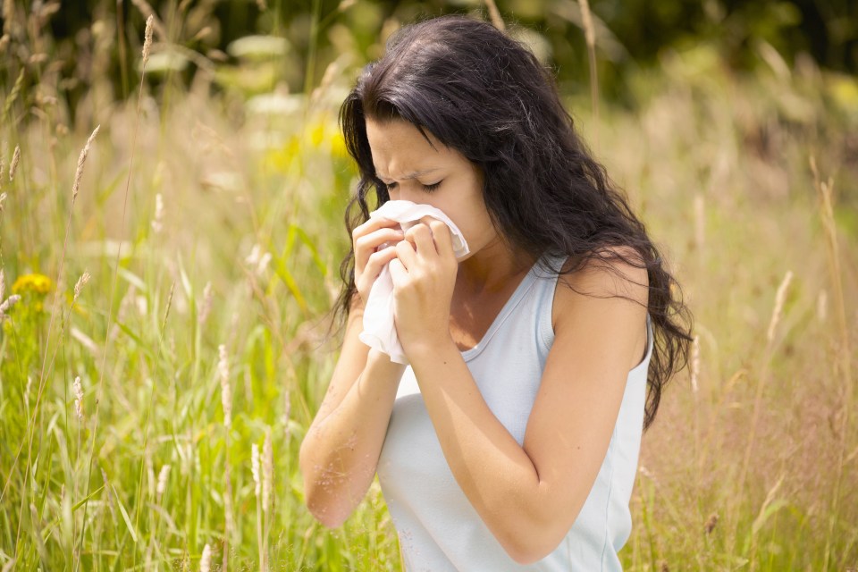  Experts believe the damage caused to a person's gut bacteria as a result of taking antibiotics is what triggers both hayfever and eczema