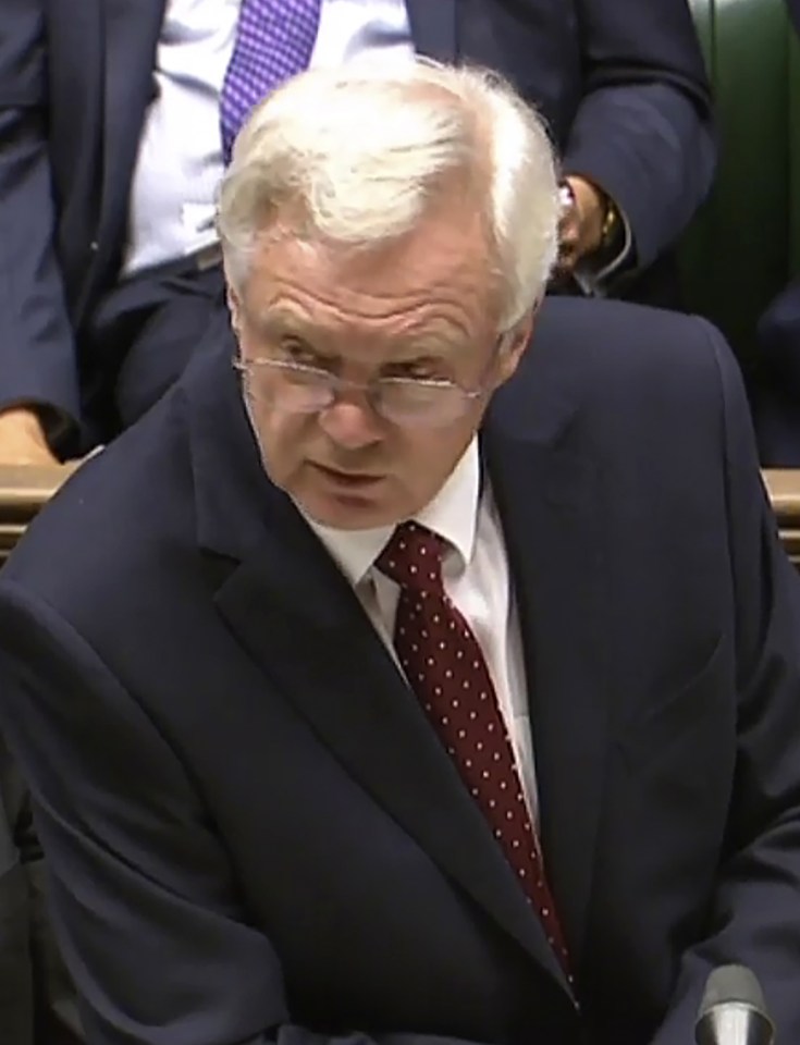  David Davis told the Commons that Britain would probably opt out of the single market