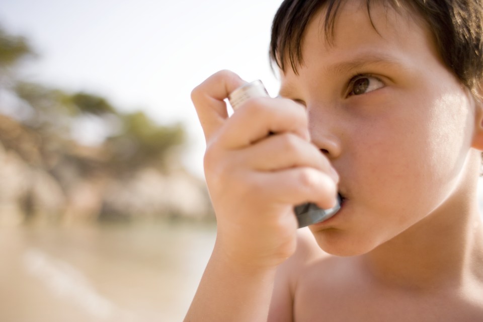  Wheezes . . . not all 'wheezy' kids have asthma