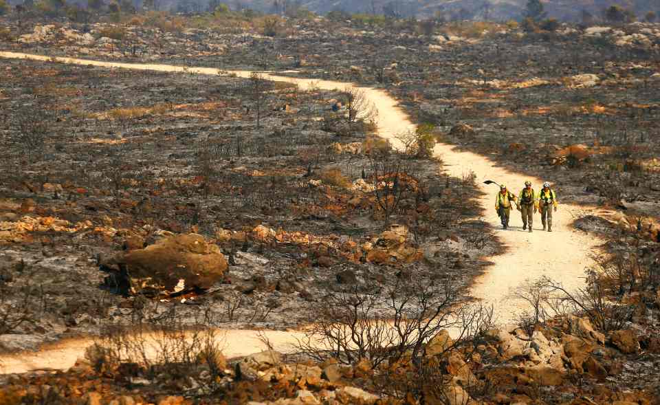  The fire have left swathes of countryside charred and devastated in their wake