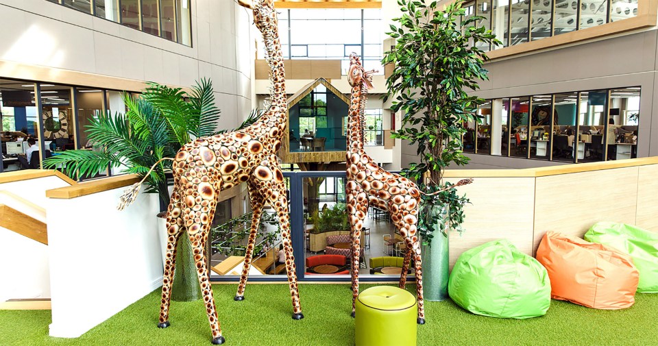  Life-sized giraffes add to the jungle theme