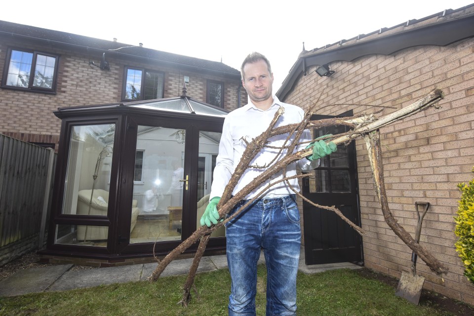  Damian Bell’s garden backs onto Tesco in Edenthorpe, South Yorkshire