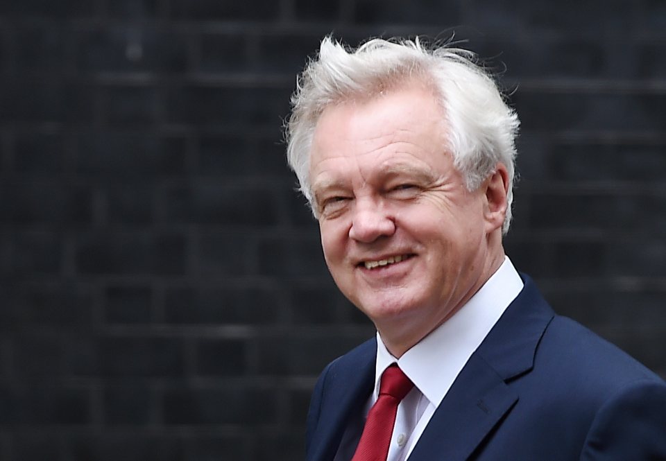 Brexit bulldog . . . Cabinet Minister David Davis is ready for tough negotiations