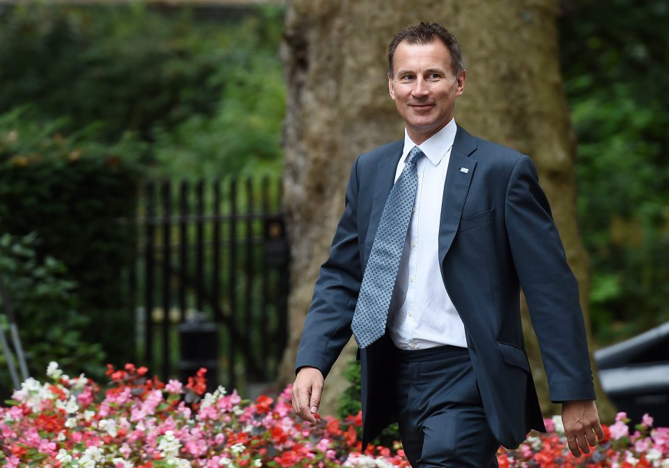  The Secretary of State for Health Jeremy Hunt claimed just 24p for a 0.5 mile journey