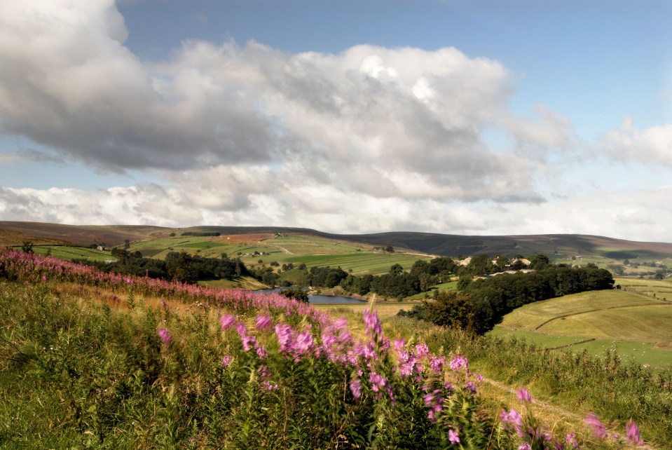 Moors in Bronte Country