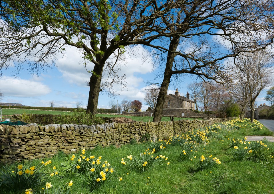 Stone wall just outside Haworth