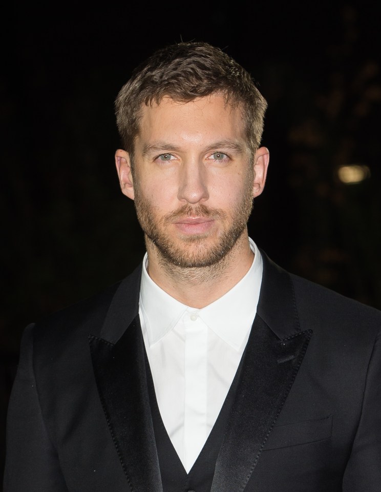  DJ Calvin Harris has made his career on the clubbing scene, but admits his work is better alcohol-free