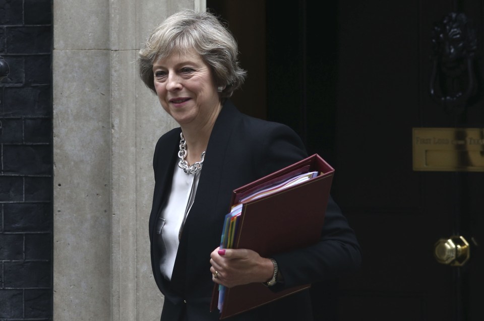  The PM has faced accusations of being too vague on Brexit