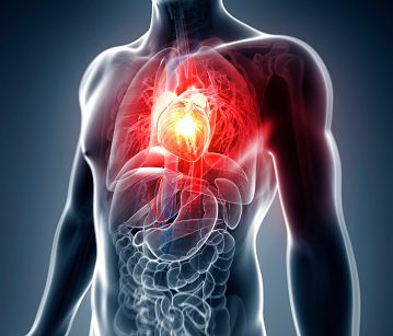  Experts have today revealed the three simple things everyone can do to avoid a heart attack... stop smoking, eat better and get moving