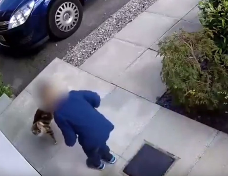  The boy was captured on CCTV squaring up to the animal during the attack