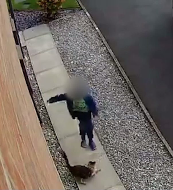  He kicks the injured cat in the stomach during his vicious tirade