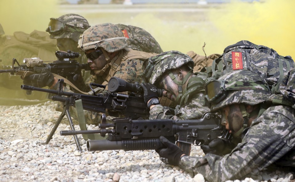 Elite troops would target the North's leaders. Pictured, South Korean and US Marines