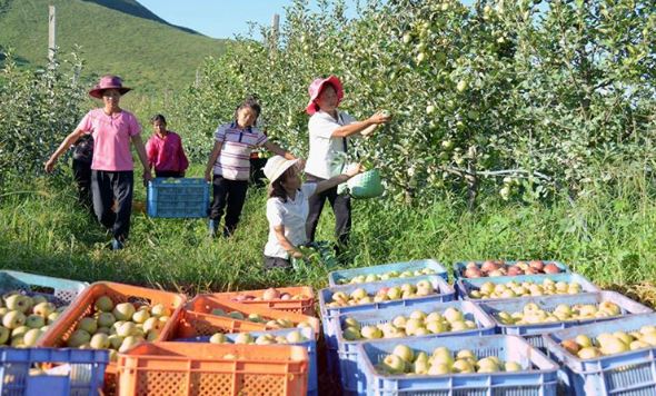  Other exhibitors provided a glimpse into the eating habits of North Koreans