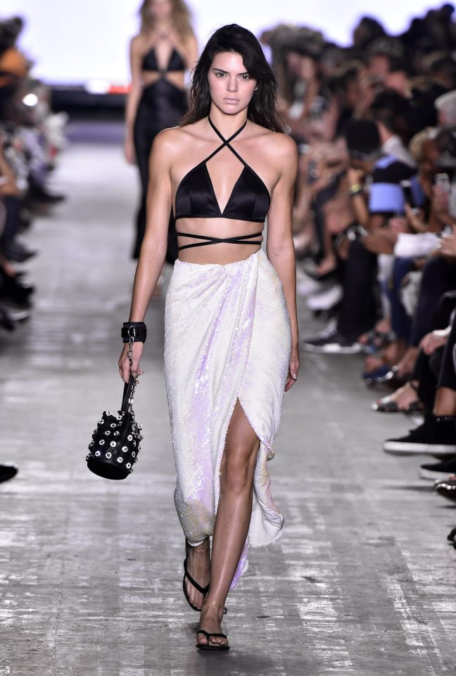  Kendall Jenner strutted her stuff on the catwalk in New York