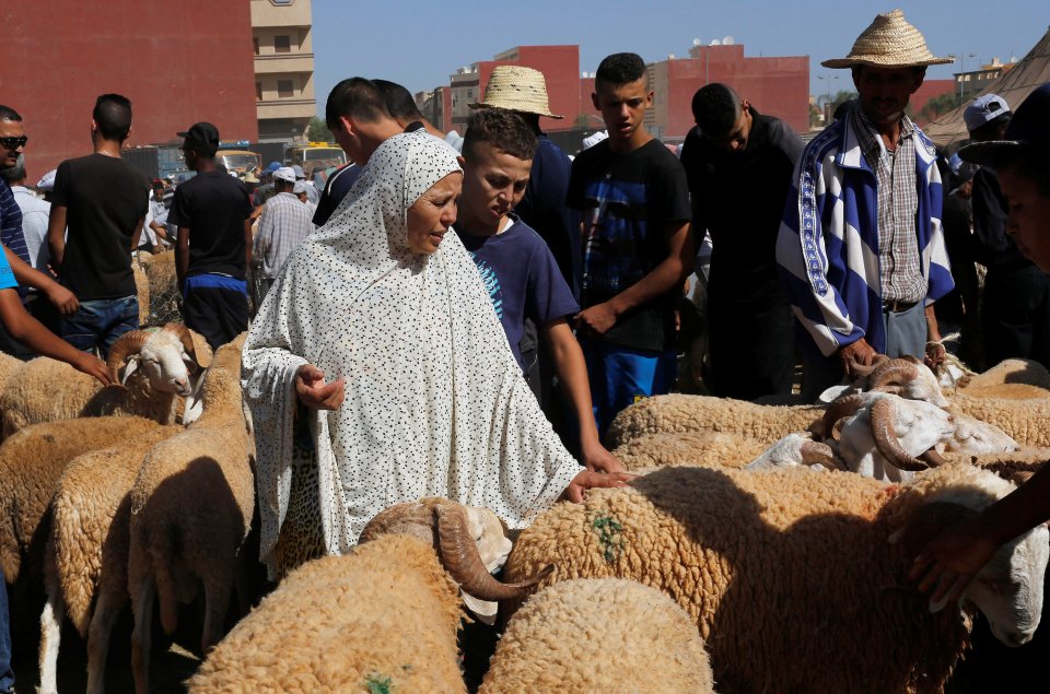  Some Muslims choose, buy and keep their own animal in the run-up to Eid