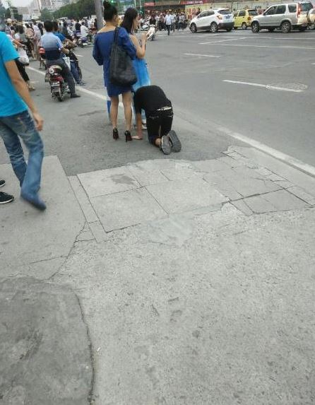  He even sat patiently as his 'owner' waited to cross the road