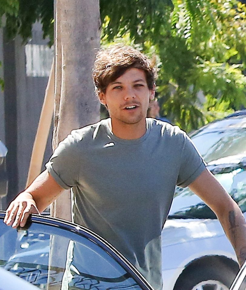  The X Factor hopeful has been compared to 1D's Louis Tomlinson